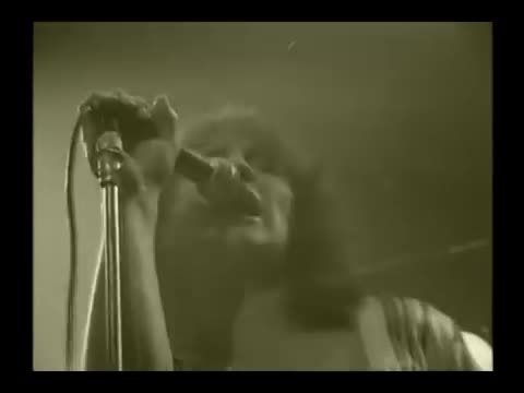 videoplayback_3