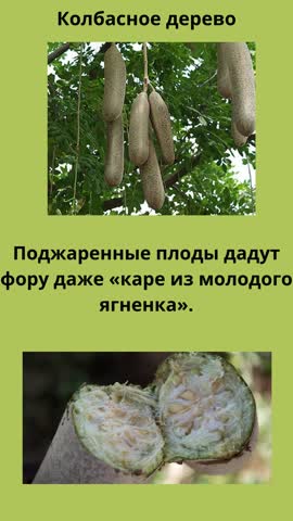 Эдемский сад или удовольствие