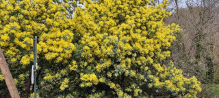 IMG-1c6914fa18e4f452faffb9d83975a24e-V