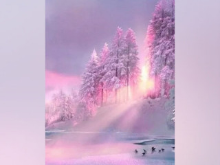 Screenshot_20230218-093020_2