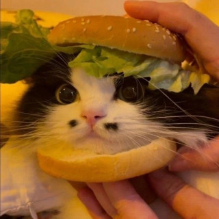 MvDWNMtBpBE