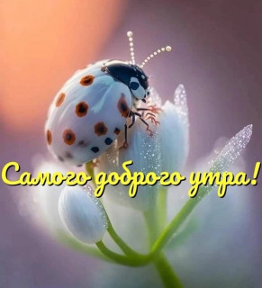 InM_MwLE7lw