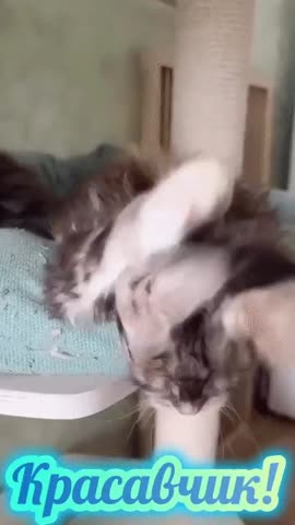 симпатяшка