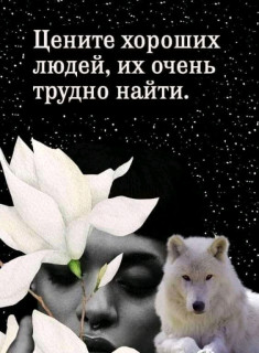 FB_IMG_16775120741506699