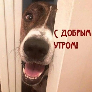 SJfQyAADvBs