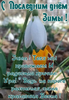 IMG-362fb2624dd72bc29415db036a78902a-V