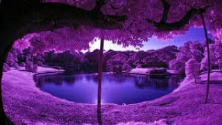 images_5