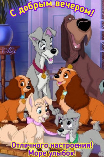 IMG-fd8dec498f825f08f85aeb6070e59bfc-V