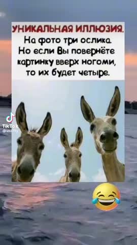 29f956e36c175e3bd1579c35a71adc62