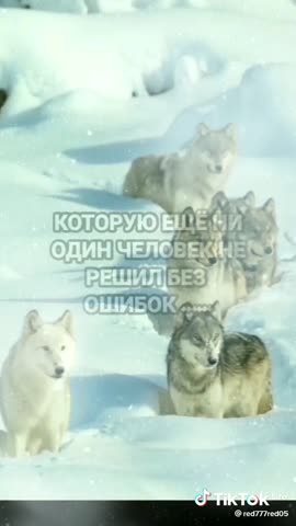 dd0d83818f2eb45b2b5c360a8017cd82