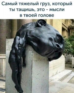 FB_IMG_16779339956825539