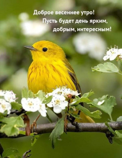 IMG-9809624e9a7cd817f0deb3d0f6f5b077-V