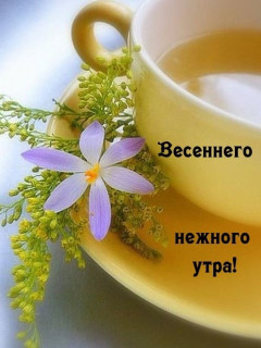 IMG-1e1142df47ceb075b8c7ca9c77aedc4c-V