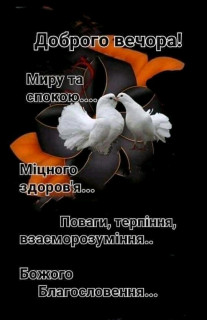 FB_IMG_16782070679347080