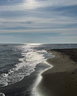 IMG-a9e311a107d444771c57ae132244e89c-V