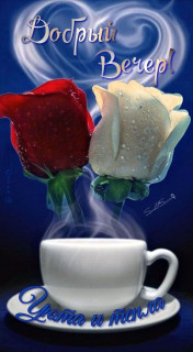 IMG-8b847ebb7f0ea20ddc2df973a3310f24-V