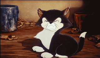 Котик_фу_фу