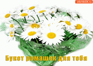 buket-romashek-dlya-tebya-milashki