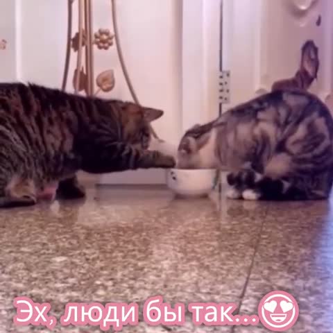 а вам слабо