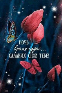 IMG-9f1a9a9141d13b536e79eb80f8d77971-V