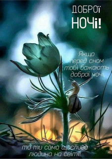 IMG-14c663e780d5937281ededb19ebf5b7b-V