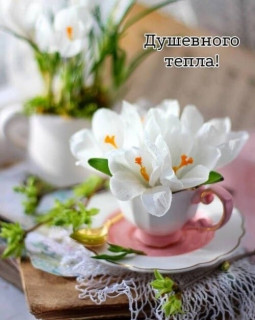 IMG-4e7aecf62b8f82d1cb4d74637c0f8118-V