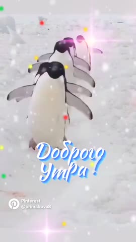 Доброе утро