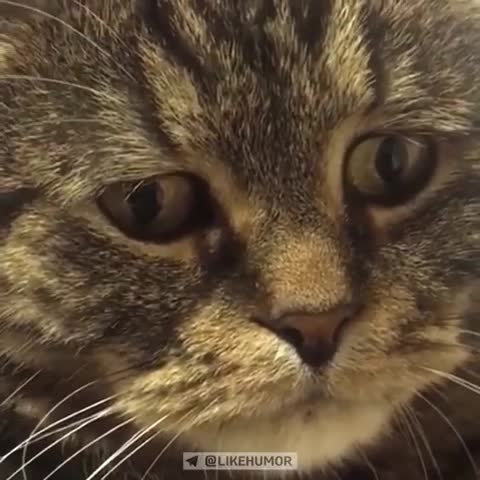 трогательно