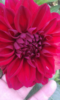 IMG-26825de68aff1436fa9bdbf06859926a-V