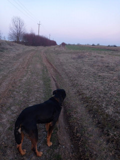 IMG-a548ab2b1e5c9f64a5864487e964d91b-V