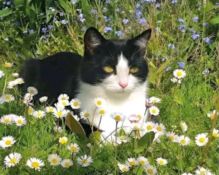 FB_IMG_16791723110069054