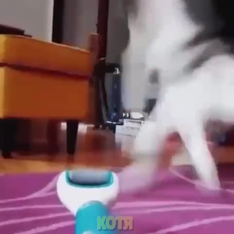 IMG_20221219_192229_219-spcs_global