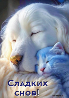 IMG-cfd3bfb564245242d456cd171b9b61b0-V