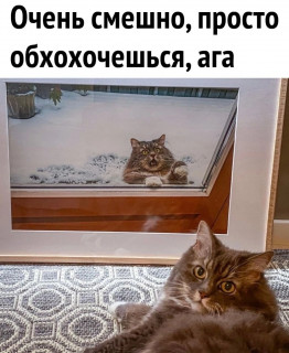 nS6TfqjYUoo