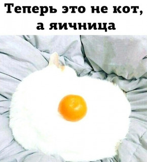 7FUFLKFXh6o