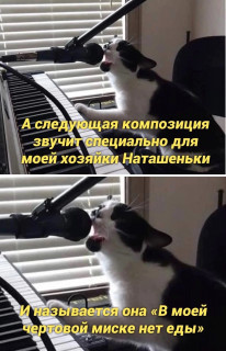 Lo5gOkijfcI