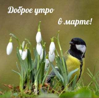 IMG-bbf6b7f0440b4e009fcba7f7bc73e65b-V