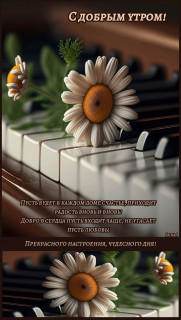 IMG-433acfa5573aa34b2e38c4ecf3ef800e-V