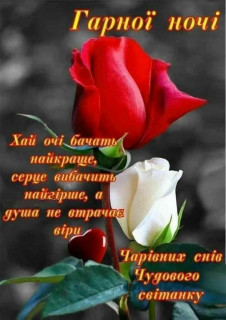 IMG-0800f4821cdebb07f7dd4e648c8c74cd-V