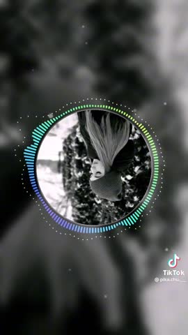 8243843345b69fcd3788ee1e2e6574d0