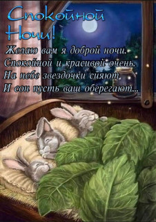 IMG-cfbe40f5ad32e3549bd7d90db99f3072-V