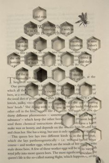 IMG-355d1534ba8329deba89f1f06fc915ee-V