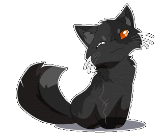 Кот