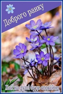 IMG-5971cfaf8c9e737f89422f3e8bd52594-V