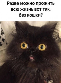 ElJl_QSysC4