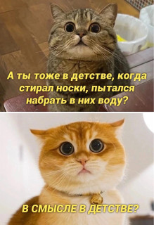 y0NZ89SAdF0
