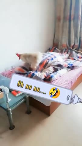 Буди_льник
