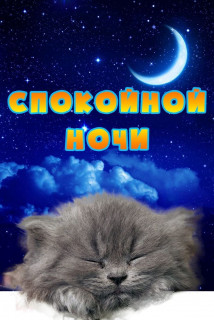 IMG-2e83f43a937ef4d3bd4b31654599132e-V