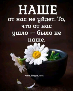 FB_IMG_16802728642934475