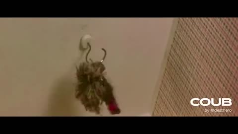 Отрывки_из_обрывков720P_HD